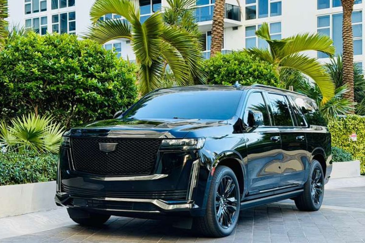 Business-Class-SUV.jpg